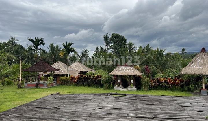 For Sale, Villa in Good Condition with Views of Rice Fields and Mountains in Tabanan, Bali. For Sale, Villa in Good Condition with Views of Rice Fields and Mountains in Tabanan, Bali.