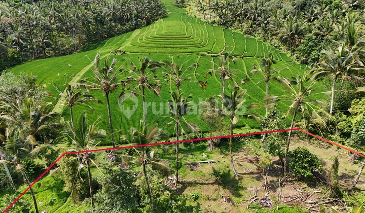 Tanah Dengan View Sawah Cantik Di Tabanan Bali