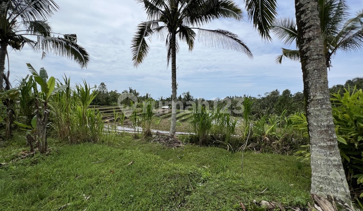 Tanah dengan View Sawah Gunung dan Sungai Cocok untuk Villa di Tabanan Bali Tanah dengan View Sawah Gunung dan Sungai Cocok untuk Villa di Tabanan Bali