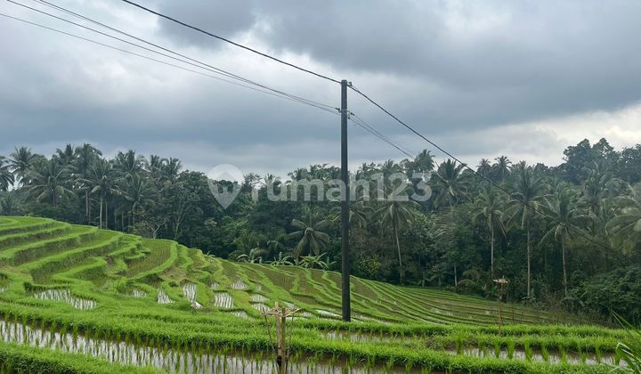 Tanah View Sawah Abadi Di Tabanan Bali 