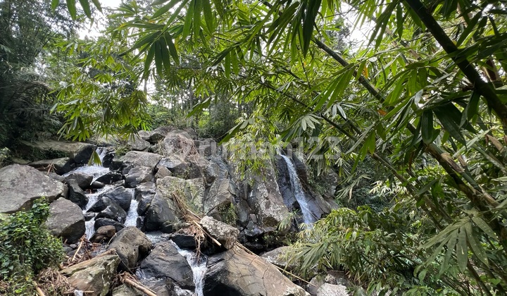 Tanah Dengan View Air Terjun Cantik Di Bali Cocok Untuk Villa 