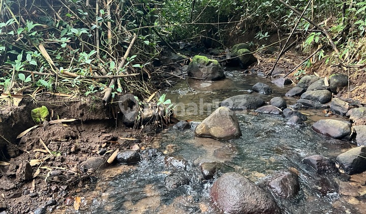 Land Title Garden River Lot Clear Water Stream Land Title Garden River Lot Clear Water Stream