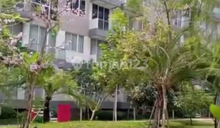 Disewakan Apartemen Full Furnished di Rainbow Springs Condovillas Summarecon Serpong 2