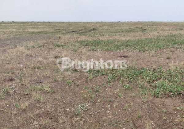 Solusi Lengkap Untuk Industri Anda: Lahan 90.000 M² Di Kiw, Dapat Dikavling Mulai 10.000 M² 1