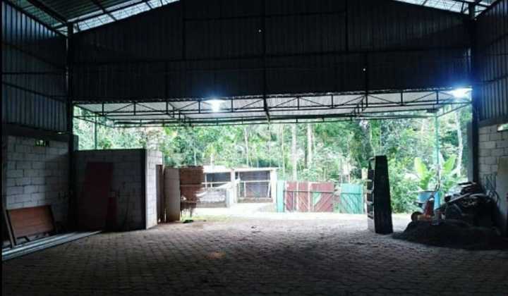 Di Sewakan Gudang Di Ngaliyan Lt 7500 Lb 6000