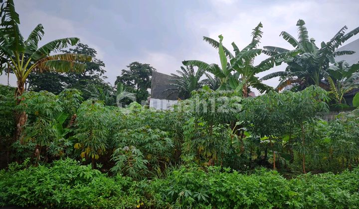 Prime Land for Sale in Mulawarman Area 1