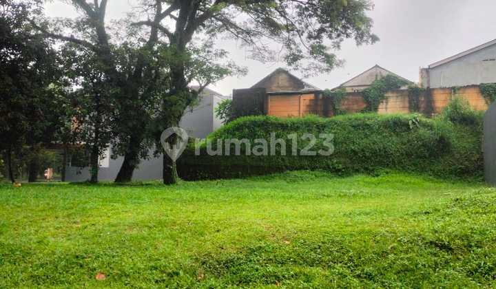 Hook Lot in Elite Area at De Latinos. (88019)