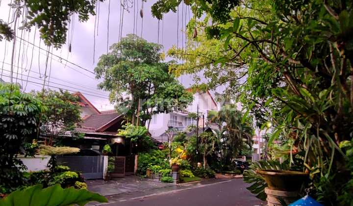 Serene House in Bintaro Sector 2 2