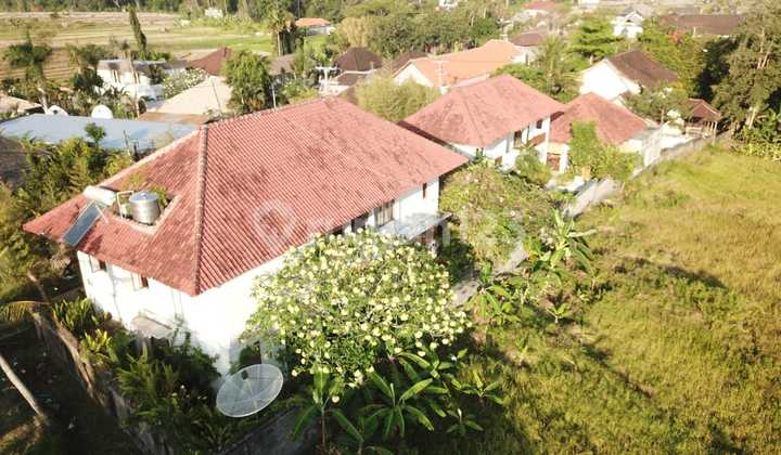 Villa Mewah 5 Kamar di Umalas Kauh – Cocok untuk Hunian & Usaha Villa Mewah 5 Kamar di Umalas Kauh – Cocok untuk Hunian & Usaha