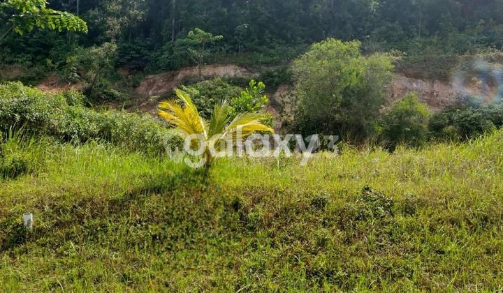 For Sale Ideal Land, Safe Investment, Strategic Location, Agathis Sukajadi Cluster, Batam For Sale Ideal Land, Safe Investment, Strategic Location, Agathis Sukajadi Cluster, Batam