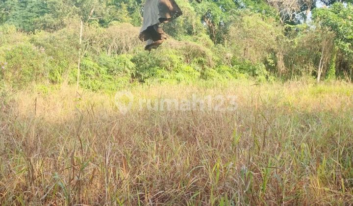 Premium Land For Sale On Boulevard – Taman Golf Residence II, Sukajadi.