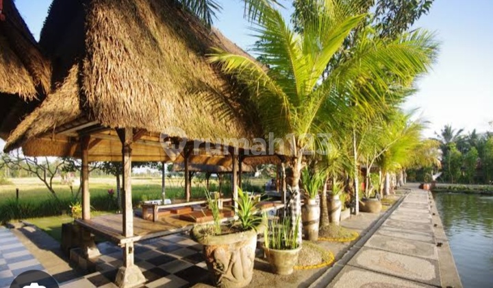Dijual Resto Ubud Sangat Cocok Untuk Investasi Jangka Panjang