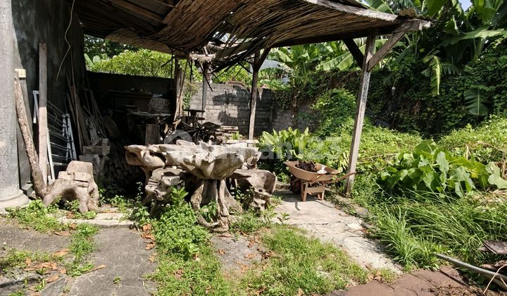 Lahan Kerobokan Strategis Pusat Kota Bebas Banjir Shm Lahan Kerobokan Strategis Pusat Kota Bebas Banjir Shm