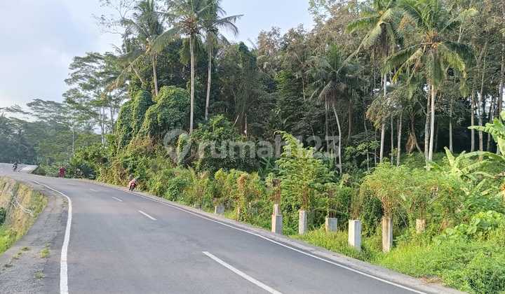 Lahan Langka Plot Kecil Siangan Gianyar SHM