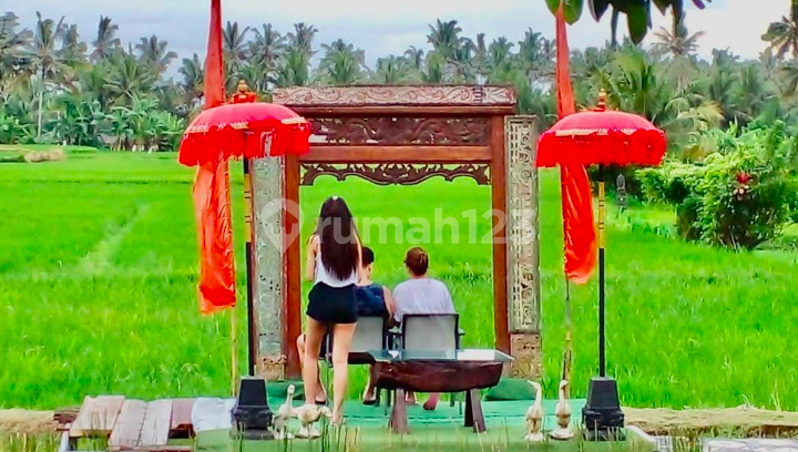 For Sale Operating Restaurant in Ubud