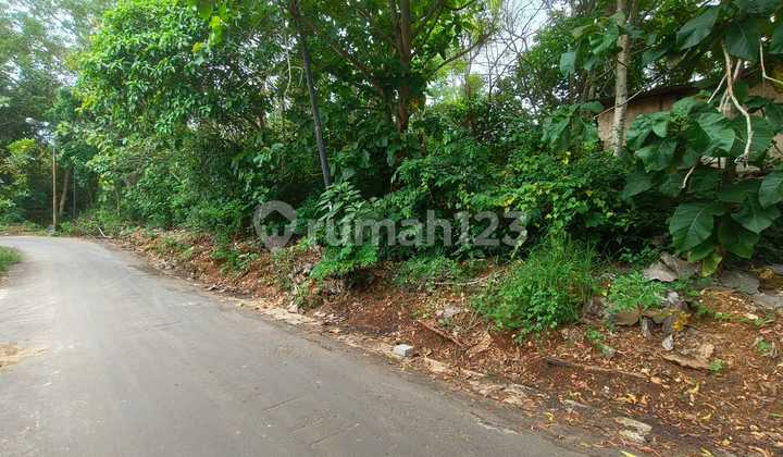Quiet Location Near Uluwatu Beach Pecatu Flat Land 19 Suitable for Villas and Restaurants