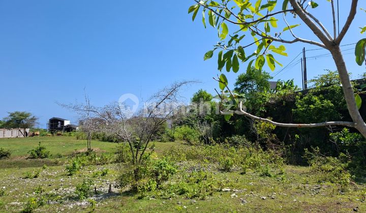Ungasan Toya Ning Tanah Luas 5000 m2 di Kawasan Berkembang Untuk Komplek Villa Ungasan Toya Ning Tanah Luas 5000 m2 di Kawasan Berkembang Untuk Komplek Villa