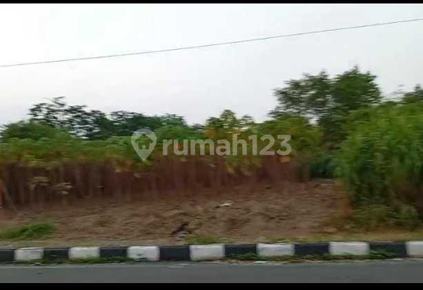 Tanah Siap Bangun Boyolali Cocok Untuk Investasi Sejuk Nyaman