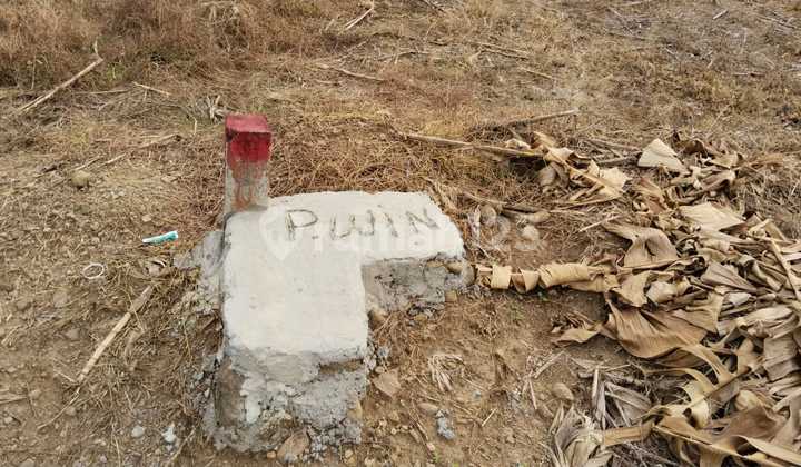 Ready-to-Build Plot in Sendangmulyo Ideal for Investment 2