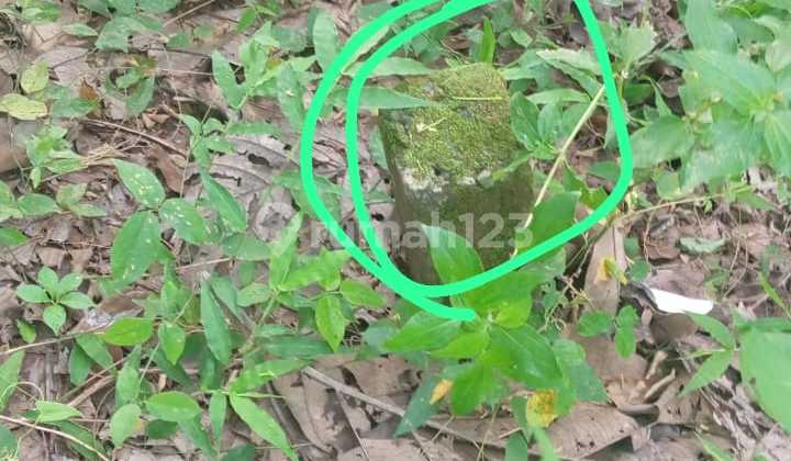 Tanah Polosiri Bawen Bawah NJOP Suasana Alam Perbukitan Cocok untuk Investasi Tanah Polosiri Bawen Bawah NJOP Suasana Alam Perbukitan Cocok untuk Investasi