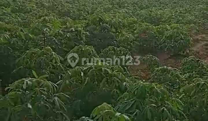 Tanah Area Kragan Siap Bangun Dekat Pantura Kawasan Industri