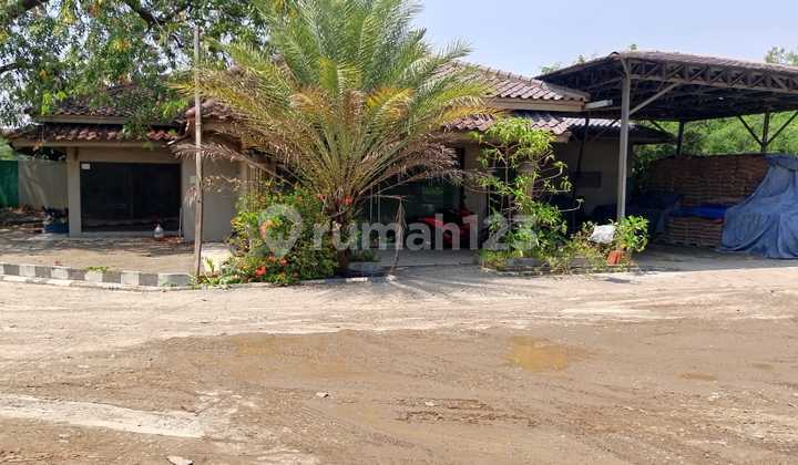 For Sale Cheap Land with Building Bonus in Marunda, North Jakarta For Sale Cheap Land with Building Bonus in Marunda, North Jakarta