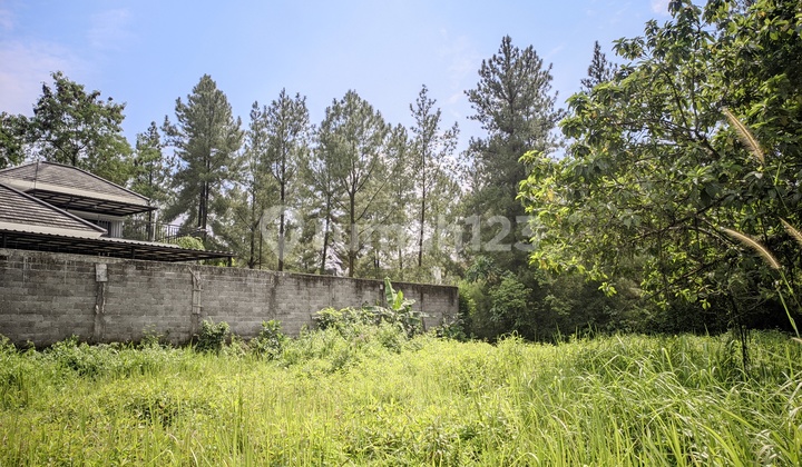 Dijual Tanah Kavling 584 m2 di Sentul City - Flat, View Bukit Asri Dijual Tanah Kavling 584 m2 di Sentul City - Flat, View Bukit Asri