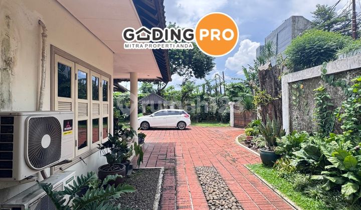 Rumah Asri Dengan Halaman Luas Di Cipete Jakarta Selatan 2