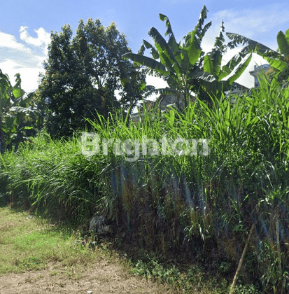 Tanah Perkebunan Siap Pakai Area Selorejo Malang 1