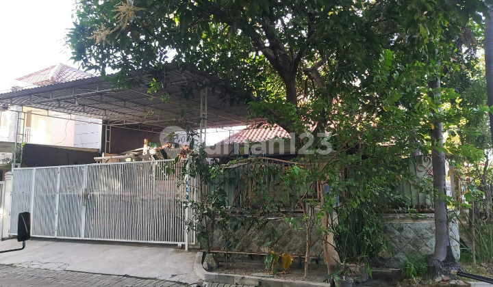Rumah Klasik Purimas Dekat Merr Upn Rungkut Surabaya Timur