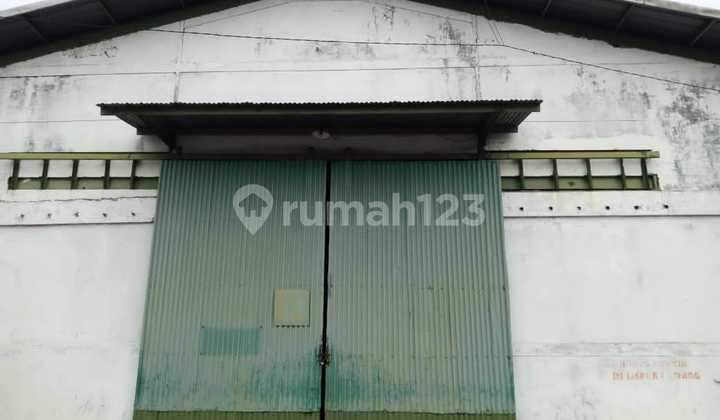 Gudang Margomulyo Bebas Banjir Siap Pakai Dekat Tandes Citraland Surabaya Barat