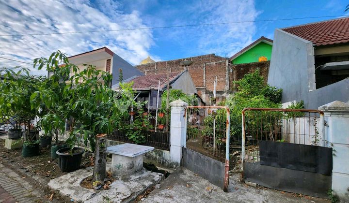 Tanah Bekas Rumah Area Semampir Merr Dekat Rungkut Surabaya Timur Tanah Bekas Rumah Area Semampir Merr Dekat Rungkut Surabaya Timur