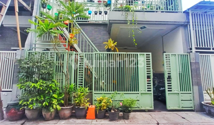 Rumah Bronggalan Siap Huni Dekat Kenjeran Pacar Kembang Ir Sukarno Merr Pakuwon City Surabaya Timur Rumah Bronggalan Siap Huni Dekat Kenjeran Pacar Kembang Ir Sukarno Merr Pakuwon City Surabaya Timur