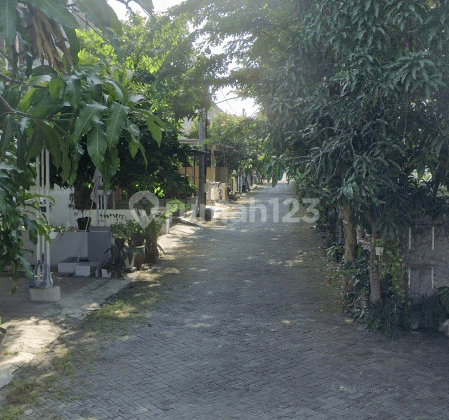 Rumah Area Rungkut Dekat Wisata Mangrove Surabaya Timur  2