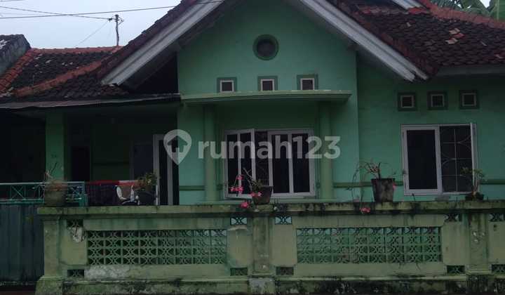 Jual Rumah Siap Huni Area Kerobokan- Badung Jual Rumah Siap Huni Area Kerobokan- Badung