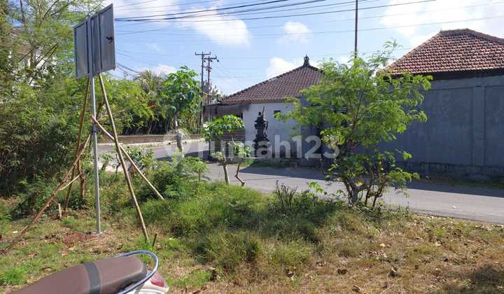 Wide Land Lease in Canggu Area