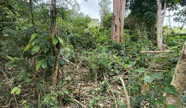 Land for Sale in Hook Area, Kutuh - Badung