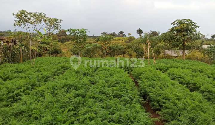 Land on Bumi Aji, Suitable for Investment