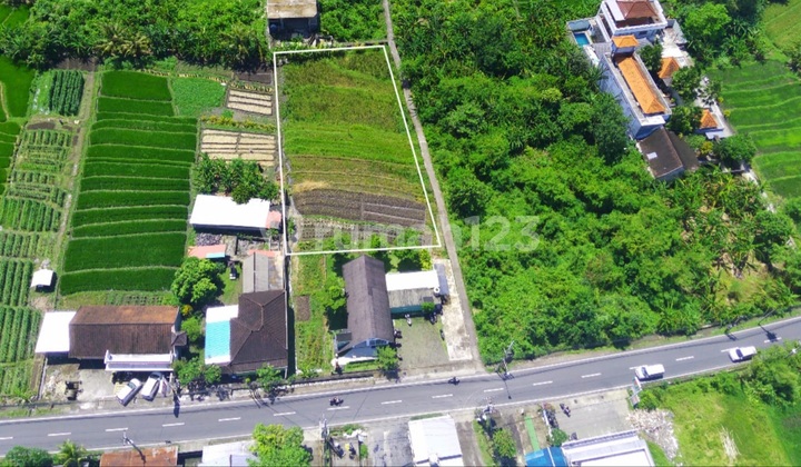 Dijual Tanah 13 Are View Sawah Tumbak Bayuh Pererenan Badung Dijual Tanah 13 Are View Sawah Tumbak Bayuh Pererenan Badung
