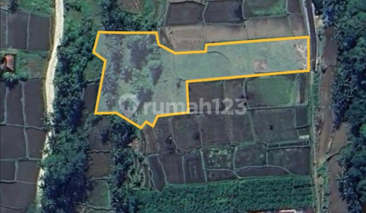Dijual/disewakan Tanah 49.10 Are Di Tegalalang, Gianyar Dijual/disewakan Tanah 49.10 Are Di Tegalalang, Gianyar