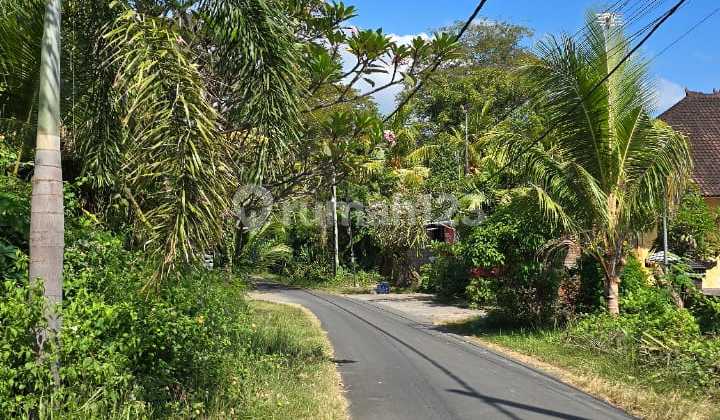 Dijual Tanah 319 M2- Lovina, Buleleng, Bali