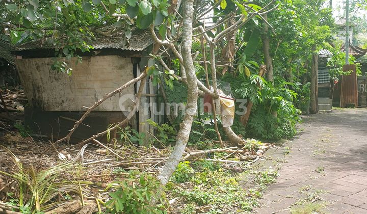 Land for Sale, 2 Are in the Elite Area of Taman Mumbul, Nusa Dua Land for Sale, 2 Are in the Elite Area of Taman Mumbul, Nusa Dua