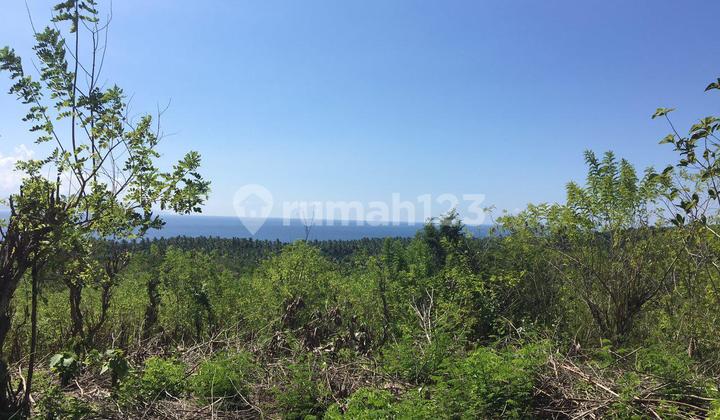 Dijual Tanah 1 Hektar, Nusa Penida Ocean View, Sunrise, Sunset