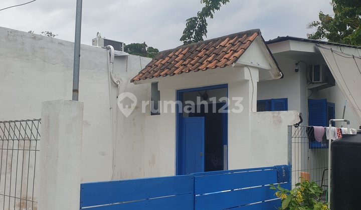 House Pet Friendly For Rent/Sale At Pecatu, Near Dreamland Beach 2