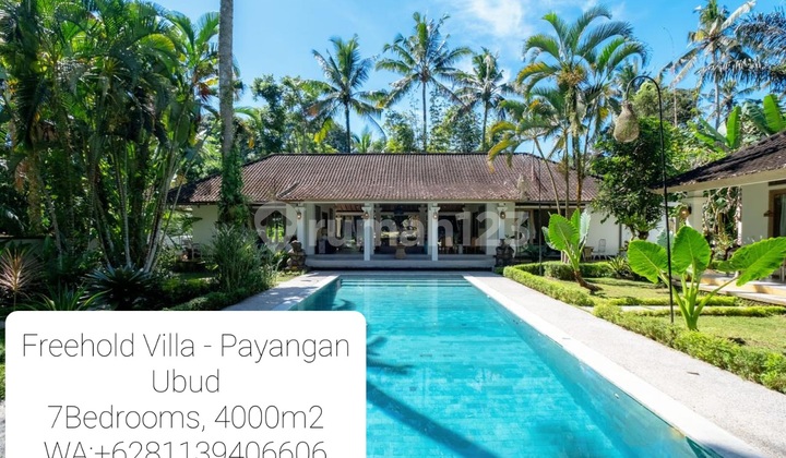 Freehold Villa At Payangan, Ubud. 7 Bedrooms.