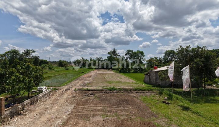Tanah SHM Sleman Mangku Jalan Utama 5 Menit Jalan Magelang Tanah SHM Sleman Mangku Jalan Utama 5 Menit Jalan Magelang