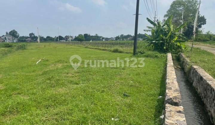 Kavling Strategis Godean Sleman untuk Rumah Minimalis Impian Kavling Strategis Godean Sleman untuk Rumah Minimalis Impian