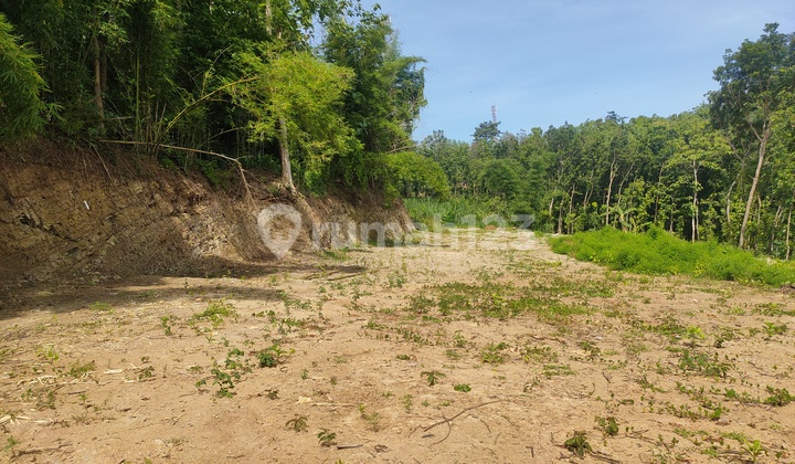 Tanah Hunian Nyaman di Pleret Bantul – SHM Ready Tanah Hunian Nyaman di Pleret Bantul – SHM Ready