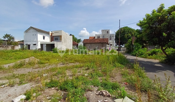 Tanah Jogja Investasi Emas! Tanah Kavling SHMP Dekat Jalan Utama Solo Jogja Tanah Jogja Investasi Emas! Tanah Kavling SHMP Dekat Jalan Utama Solo Jogja