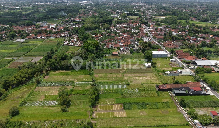 Tanah SHM Sleman Barat Lingkungan Sejuk dan Mangku Jalan Utama Tanah SHM Sleman Barat Lingkungan Sejuk dan Mangku Jalan Utama